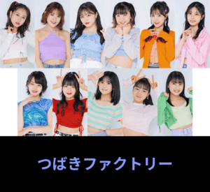 つばきファクトリー